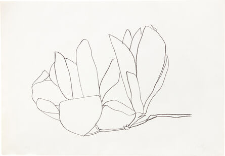 Ellsworth Kelly, ‘Magnolia (A. 56)’, 1966