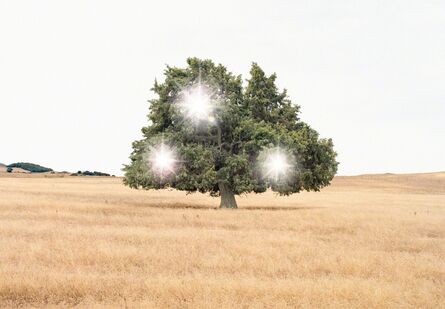 Andrea Galvani, ‘Death of an Image #4C’, 2005/2012