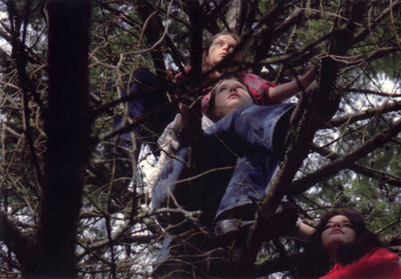 Dana Hoey, ‘Tree-sit’, 2002