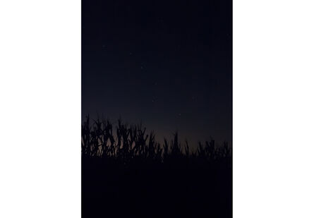 Jeanine Michna-Bales, ‘Follow the Drinking Gourd, Jefferson County, Indiana’, 2013
