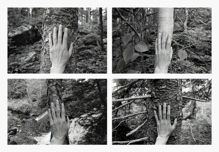 Marlene Creates, ‘4 excerpts from 'Larch, Spruce, Fir, Birch, Hand, Blast Hole Pond Road, Newfoundland'’, 2008