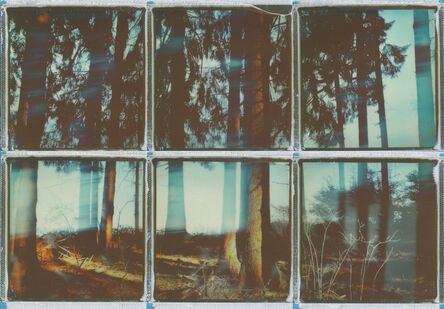 Ina Echternach, ‘I lost myself in nature - Contemporary, Conceptual, Women, Polaroid, 21st Century, Nature, Future ’, 2017