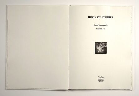Salvatore Mazza, ‘BOOK OF STORIES: Eleven etchings of TINUS VERMEERSCH and One unpublished narration of RODERIK SIX’, 2013