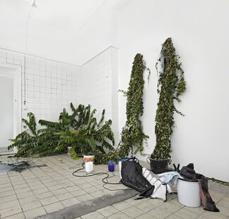 The Germ Of All Potential, installation view