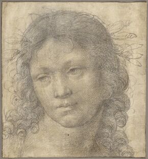 Lorenzo di Credi, ‘he Head of a Young Boy Crowned with Laurel’, 1500-1505
