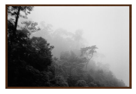 Maria Laet, ‘Neblina (Fog)’, 2014