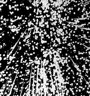 Scott Short, ‘Untitled (green)’, 2014