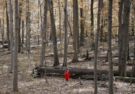 Maria Passarotti, ‘Marking Her Trail’, 2013