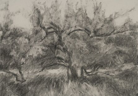 Connie Hayes, ‘Orchard #11’