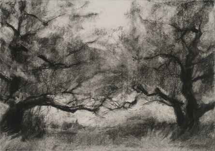 Connie Hayes, ‘Orchard #3’