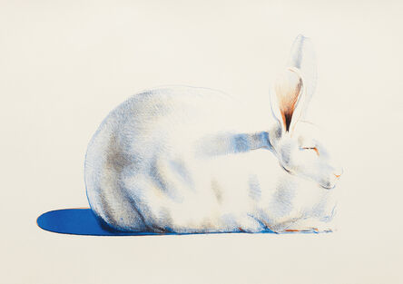Wayne Thiebaud, ‘Rabbit, from Seven Still Lifes and a Rabbit’, 1971