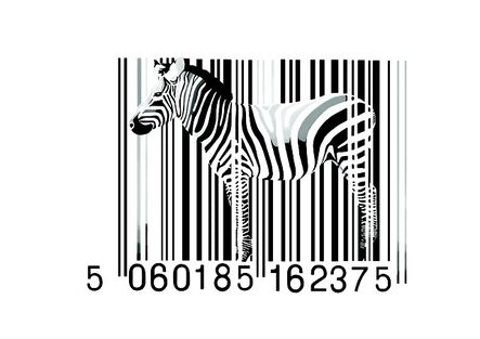 Day-z, ‘Zebra Barcode’, 2014