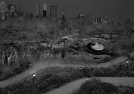 Michael Massaia, ‘North West View, Central Park, New York City’, 2014