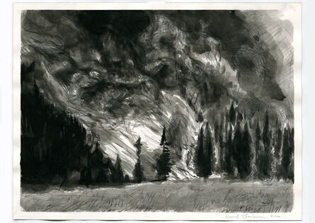 David Claerbout, ‘Wildfire (Untitled 6)’, 2020