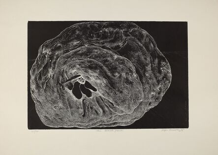Jogen Chowdhury, ‘The Black Flower’, 1975