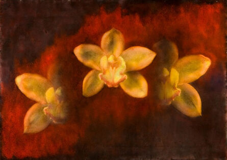 Maggie Hasbrouck, ‘Star (Yellow Orchids)’, 2011