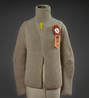 Christien Meindertsma, ‘Tan sweater (cardigan)’, 2005