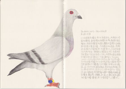Lee Lichung, ‘Pigeon - TAIWAN 2015-0420126’, 2018