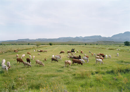 An-My Lê, ‘Vaquero Guarding Cattle, El Mulato, Mexico’, 2019