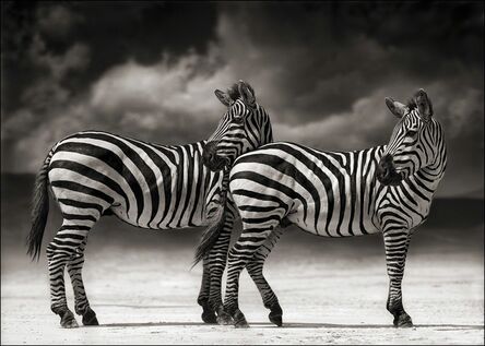 Nick Brandt, ‘Portrait of two Zebras turning heads, Ngorongoro Crater’, 2005