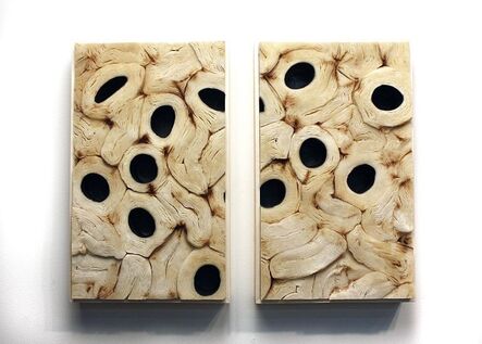 Jessica Drenk, ‘Soft Cell Tissue’, 2013