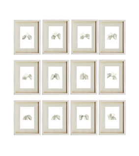 Daniela Acosta Parsons, ‘Prueba de supervivencia’, 2019