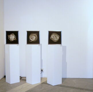 Curves and Circles, installation view