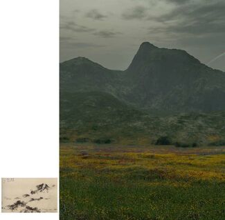 Joan Fontcuberta. Orogenesis - Landscapes without memory, installation view