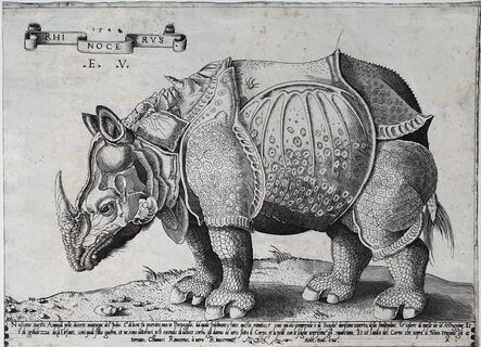 Enea Vico, ‘Rhinocerus’, 1542