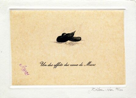 Richard Hamilton, ‘Un des Effets des Eaux de Miers (from eighteen small prints)’, 1973
