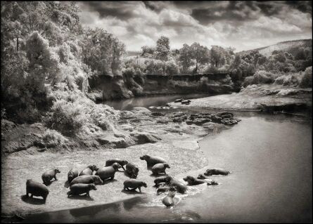 Nick Brandt, ‘Hippos on the Mara River, Maasai Mara, 2002’, 2002