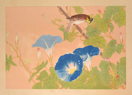 Tsuchiya Rakusan, ‘Morning Glory and Yellow-throated Bunting (Mid Summer)’, 1935