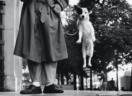 Elliott Erwitt, ‘France, Paris (Dog jumping)’, 1989