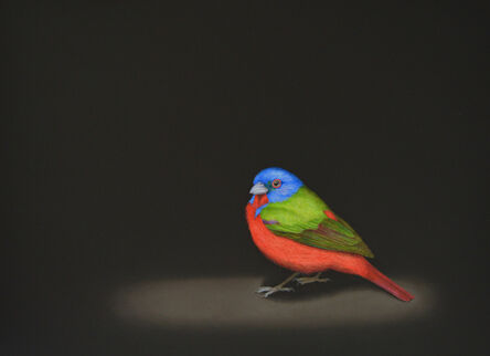 Isabelle du Toit, ‘Painted Bunting’, ca. 2021