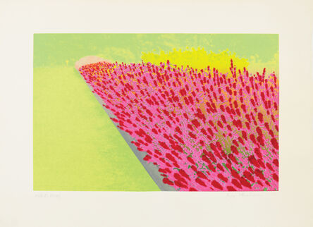 Ivor Abrahams, ‘Pricacy Plot: Flower Garden’, 1970