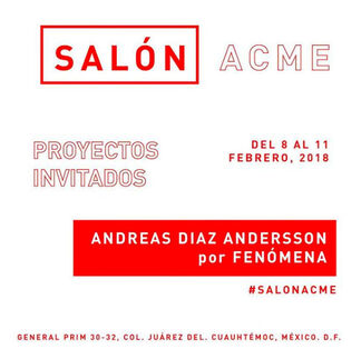 Fenomena at Salon ACME 2018, installation view