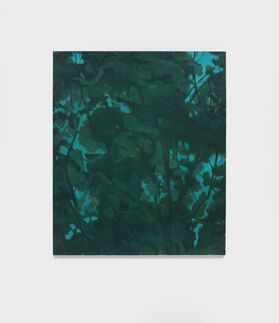 Xu Xiaoguo, ‘Texture 1’, 2016