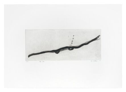 Wang Gongyi, ‘Swimming’, 2000