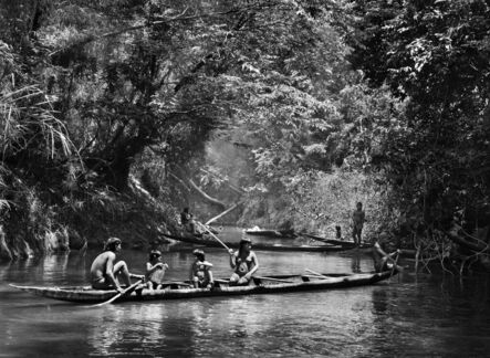 Sebastião Salgado, ‘Fishing using timbó (Derris ellíptica), Pretão stream, Suruwahá Indigenous Territory, state of Amazonas, Brazil’, 2017