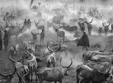 Sebastião Salgado, ‘Dinka cattle camp of Amak. Southern Sudan.’, 2006