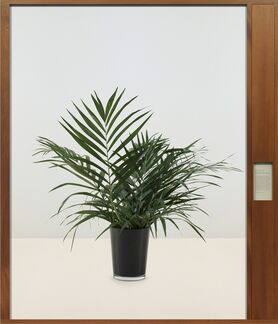 Taryn Simon, ‘Comprehensive Cooperation Agreement. Caracas, Venezuela, October 30, 2000, Paperwork and the Will of Capital’, 2015