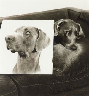 Double Portrait (From Man Ray: A portfolio of 10 Photographs)