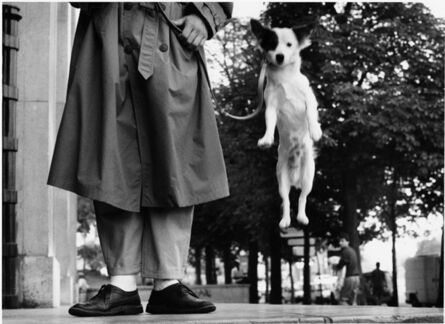 Elliott Erwitt, ‘Dog Jumping’, Paris-France 1989