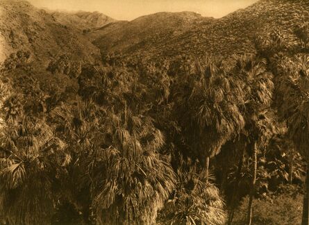 Edward S. Curtis, ‘Palm Cañon’, 1924