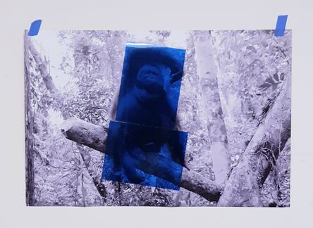 Oscar Figueroa, ‘Blue Orang Utan’, 2020