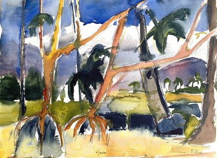 Susanne Rikus, ‘Lydgate park, Kauai’, ca. 2002