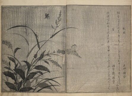 Kitagawa Utamaro, ‘Tree Cricket and Firefly’, 1788