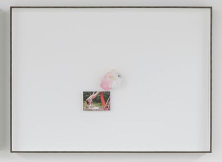 Etienne Chambaud, ‘∩ (American Flamingos)’, 2018