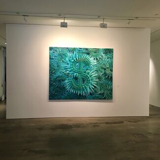 Color Concepts, installation view