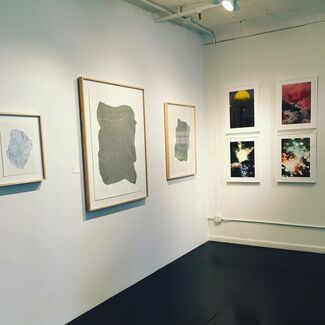 That's all folks!, installation view